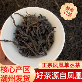 潮州凤凰单枞茶源产地直销批发袋装乌龙茶单丛蜜兰香袋装250g