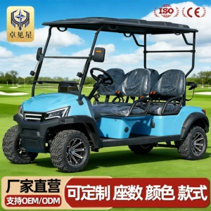 Electric Golf Cart Sightseeing Car Shuttle Bus