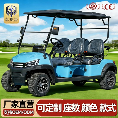 Golf Cart: Gaofe Auto Parts and Accessories