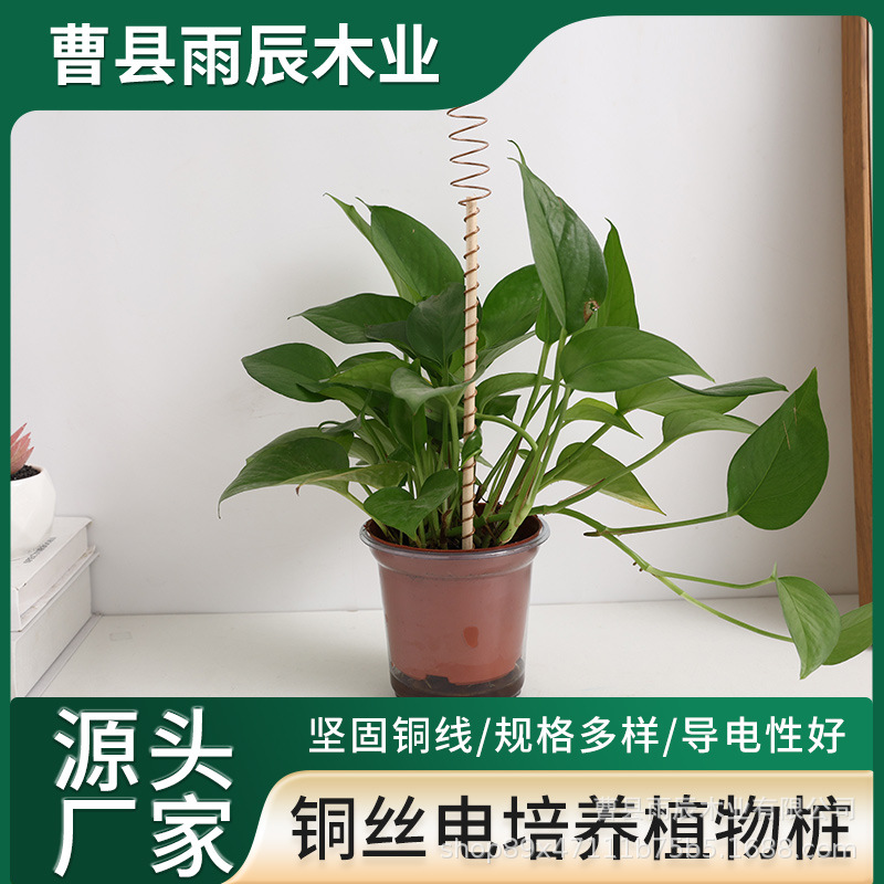 电培养植物桩园艺麟铜圈天线园艺铜丝材质电培养植物桩