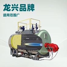 wns10��1.25MPaȼ������偠t���a�S��|10��ȼ������偠tҎ���r