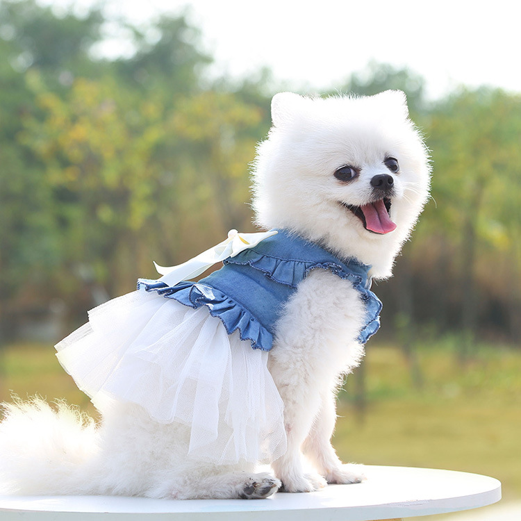 Princess Denim Bow Knot Pet Clothing display picture 5