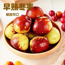 陕西大荔冬枣代发5斤新鲜脆甜当季孕妇水果非蟠枣批发零售头茬