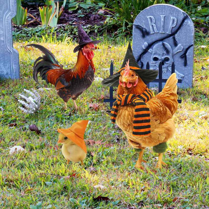 JSTY332-337クロスボーダーハロウィーン金属鉄芸地挿し屋外花園庭鶏鴨猫装飾プラグイン|undefined