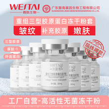 暨南基因8万活性三型胶原蛋白冻干粉紧致 陷抗凹淡纹皱护修冻干粉