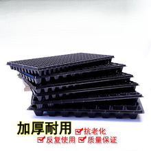 ���l����PѨ�P������������߲�������������������ľ����������