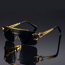 20653 Frames opard Sungsses ����ͷ̫���� �羳