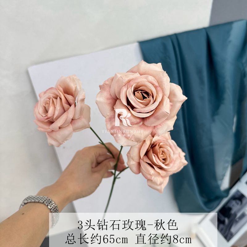 일반 다이아몬드 로즈 가을 파우더