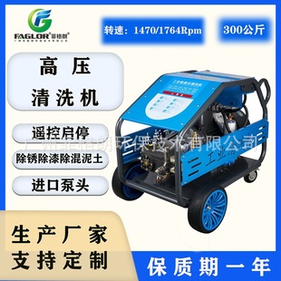 Powerful High-Pressure Water Gun Cleaning Machine/Removal and Paint Removal High-Pressure Cleaning Machine 500kg Feigang