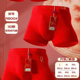 驰蒂豪R800男士平角红色内裤密柔皮马棉本命年舒适透气柔软新年