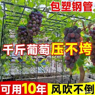 �z�����Ѽ����������������������ё����ټ�������S��ͥԺ���