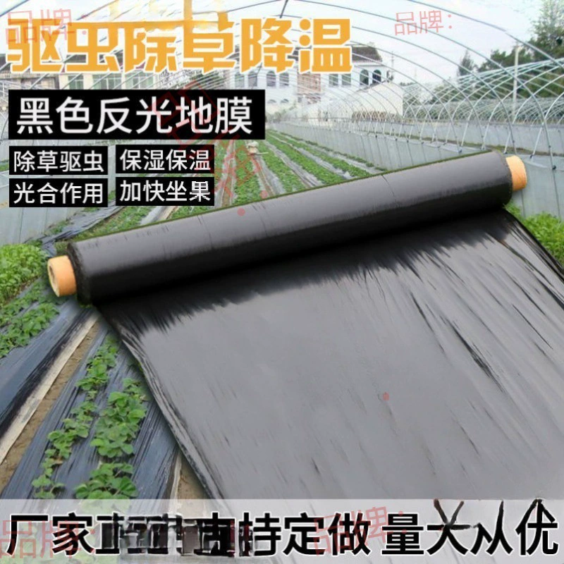 Мульчирующая пленка для выращивания овощей для сельскохозяйственных посадок, утолщенная черная мульчирующая пластиковая пленка против старения для изоляции, удержания влаги и предотвращения отбеливания.