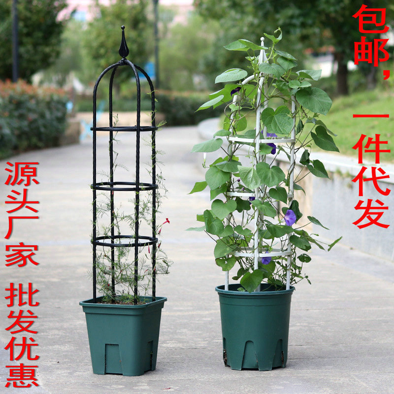 爬藤架U型花支架园艺攀爬藤植物架月季花架包邮一件代发批发打折