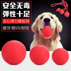 犬を訓練してボールをかじっています。ペットはボールをかじっています。