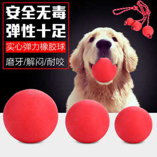 Dog training ball pet bite-resistant ball solid rubber elastic ball rope pet toy with rope elastic ball