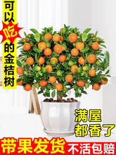 ļۘԎֲ҃ȺBܿ͏dСӘؔ辰