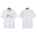 Transparent White Ice Blue Bear