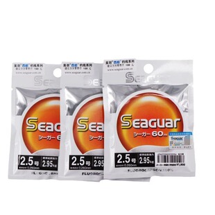 �ձ�����Seaguar̼���Ș˳ȸ�FX 60�׷�឴�឴���Ӿ�·��ǰ����