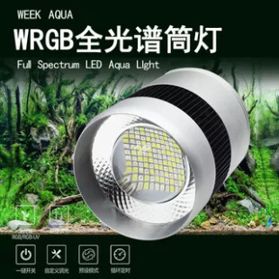 ������ˮ�ݸ�Ͳ��ˮ����LED���������ȿ��{WRGB�α�֧�ܟ�ȫ���V