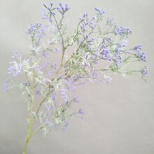 �����֦��֦���ӹ��۲˹���z�� �������l���W�Ҿӻ�c��ˇ�OӋ