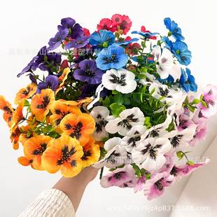 ���R�d�羳���컨7���ȼ�����ɫ�����潁���廨�Ҿ��b�