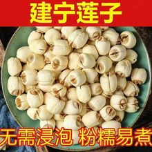 �������ڽ���ɏ�����r�r���Ԯa�ֹ�ȥ�oо��A����؛ɢ�b500g���l