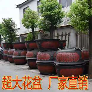 ��ɰ�����մɈA�λ����̖�Ӻ�lؔ��ͥԺ�N����؜\��