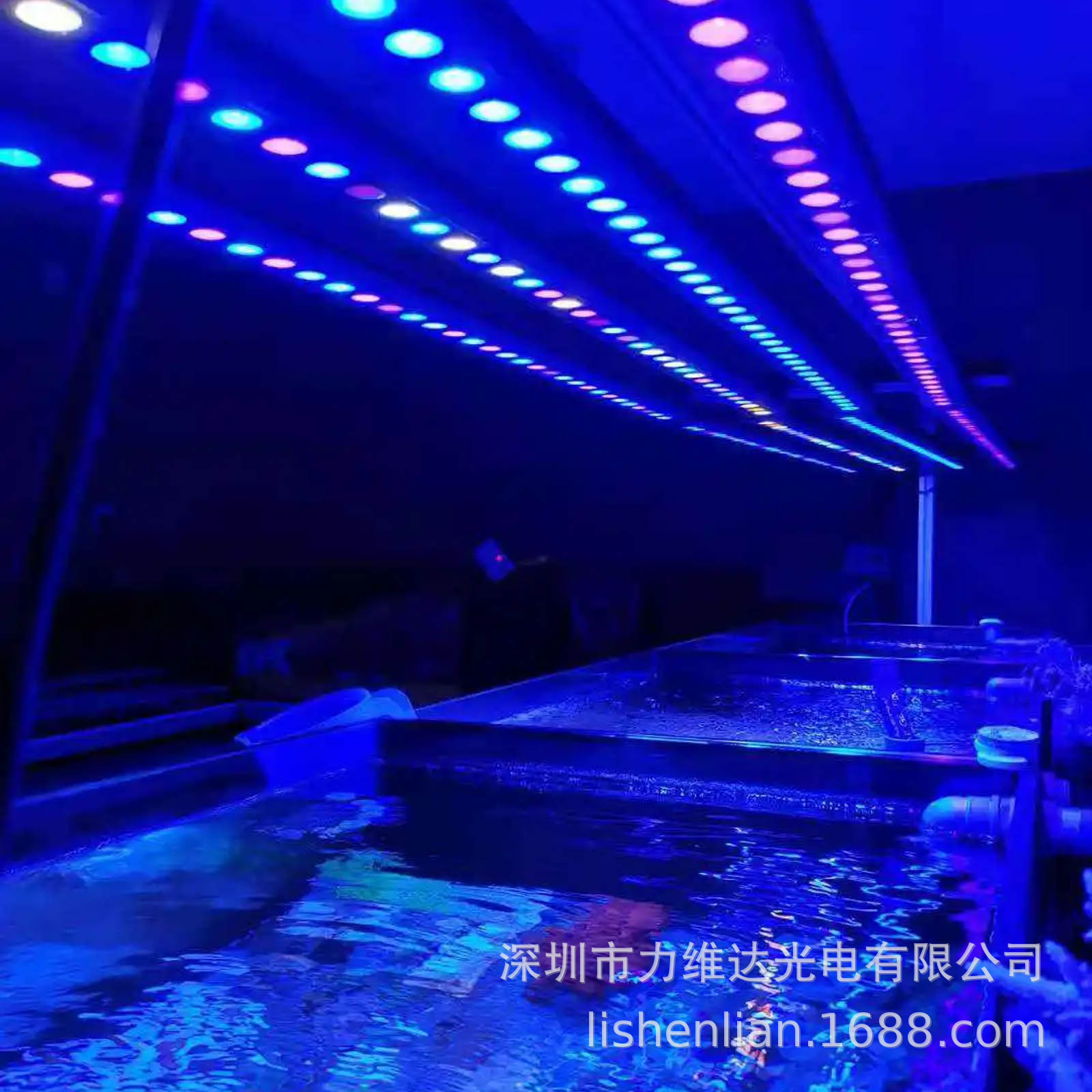 ά2/3/4/5ftˮݵư쾰ܵⶨʱȫLED׵