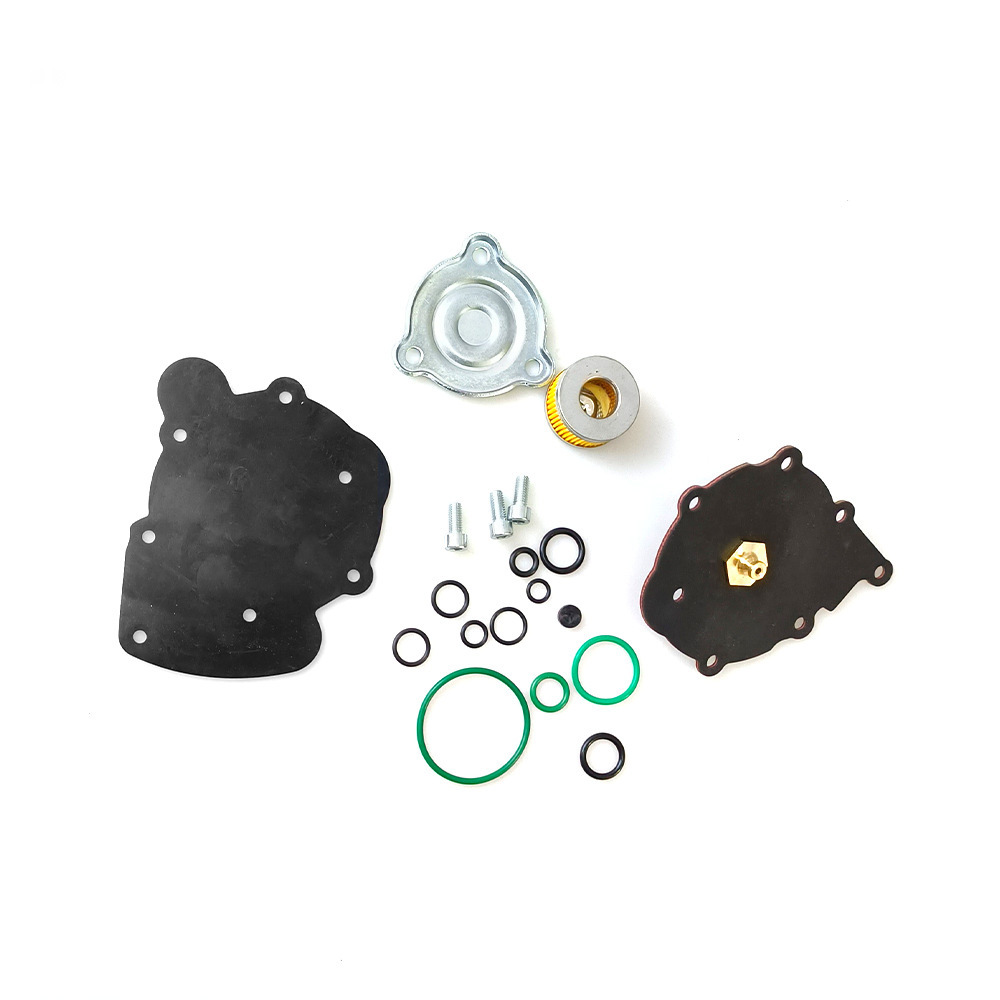 Lpg/Cng Car Oil to Gas At09 Nordic Repair Kit Modified Maintenance Spare Gas Car Accessories