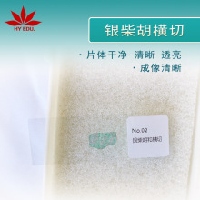 银柴胡横切 组织细胞切片教学实验显微镜观察植物类切片标本