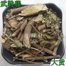 ��ș����ѥ�� �׸��� ����� ���� ����� ������  ��Ҳ�� ��؛