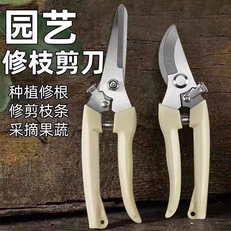 园艺园林剪枝剪盆栽修枝神器花艺剪鲜花剪子家用绿化嫁接花店剪刀
