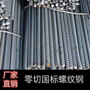 �ݼy� ����ֲ�� ���˿��� �·䓽� ֱ�l 6 8 10 12 14 16 18 20