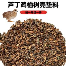 �J���u�|�Ϗ�ȥ���ؘ䚤�o�ۉm�l�ʹ���x����ȥζ�|�����l�����l