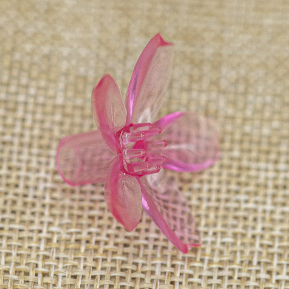 新款中樱花30 (1).jpg