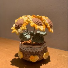 ��Ʒ�羳�ֹ��h�����������ԼҾӔ[��ë������õ����滨�����辰