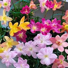 �ļ��L���m�ذ�N���M�ڻ��������_��ֲ����B�׻���m�����ͻ���