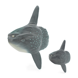 �羳���溣����﷭܇�~ģ�̓�ͯ�J֪��������̫��~��܇�[��