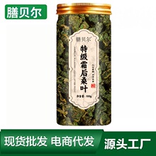 dꐰζSѹӢQ܇ǰ݃SS˽z