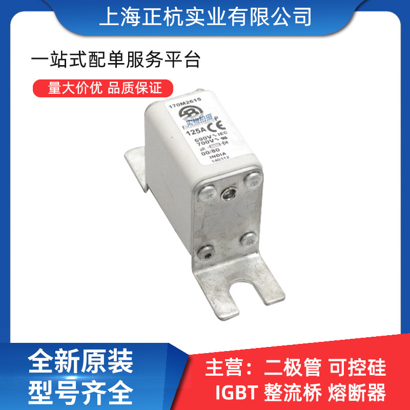 170M2615  170M2621正杭实业陶瓷低压快速熔断器全新原装量大从优