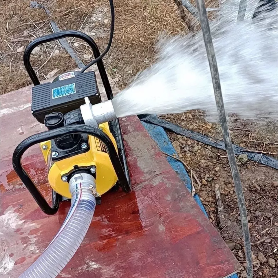 Бытовой водяной насос с большим расходом, сельскохозяйственный самовсасывающий насос для орошения, 220 В, 380 В, канализационный насос, водяной насос, дизельный разгрузочный насос