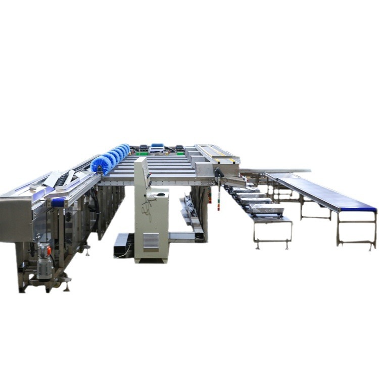 大厂直销 清洗打蜡选果机 苹果梨分选机油桃清洗风干机 CE认证