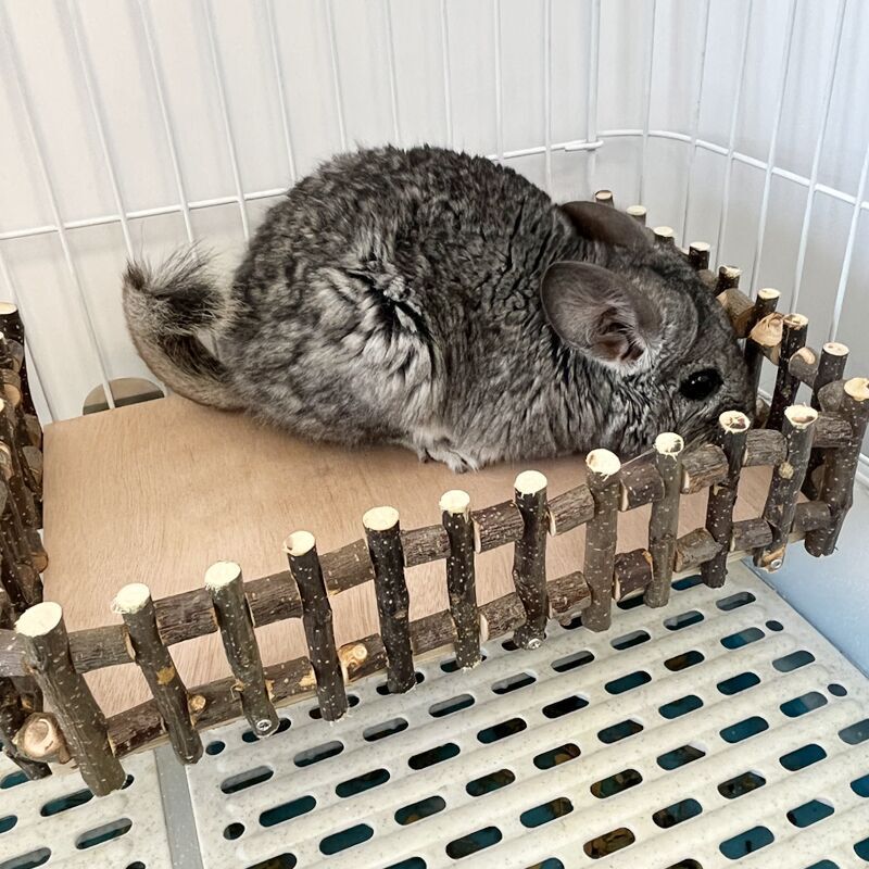 QQ图片20220330163418