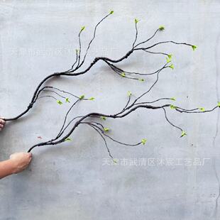 �鷿���ñ������l���� ������ٽY��鷿�b��b[��ӆ�����w