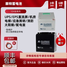 蓄电池海湾泰和安青鸟消防主机火灾报警器备用BT-12V24AH