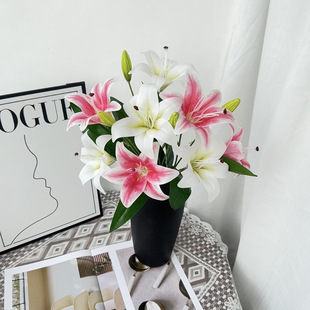 �羳2�^�zƬ�ٺϷ��滨�Ҿӿ͏d�����[���ӾƵ���g�b��Ĕz����