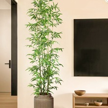 仿真竹子室内装饰假竹子隔断屏风挡墙造景室外装饰竹盆栽加密绿植