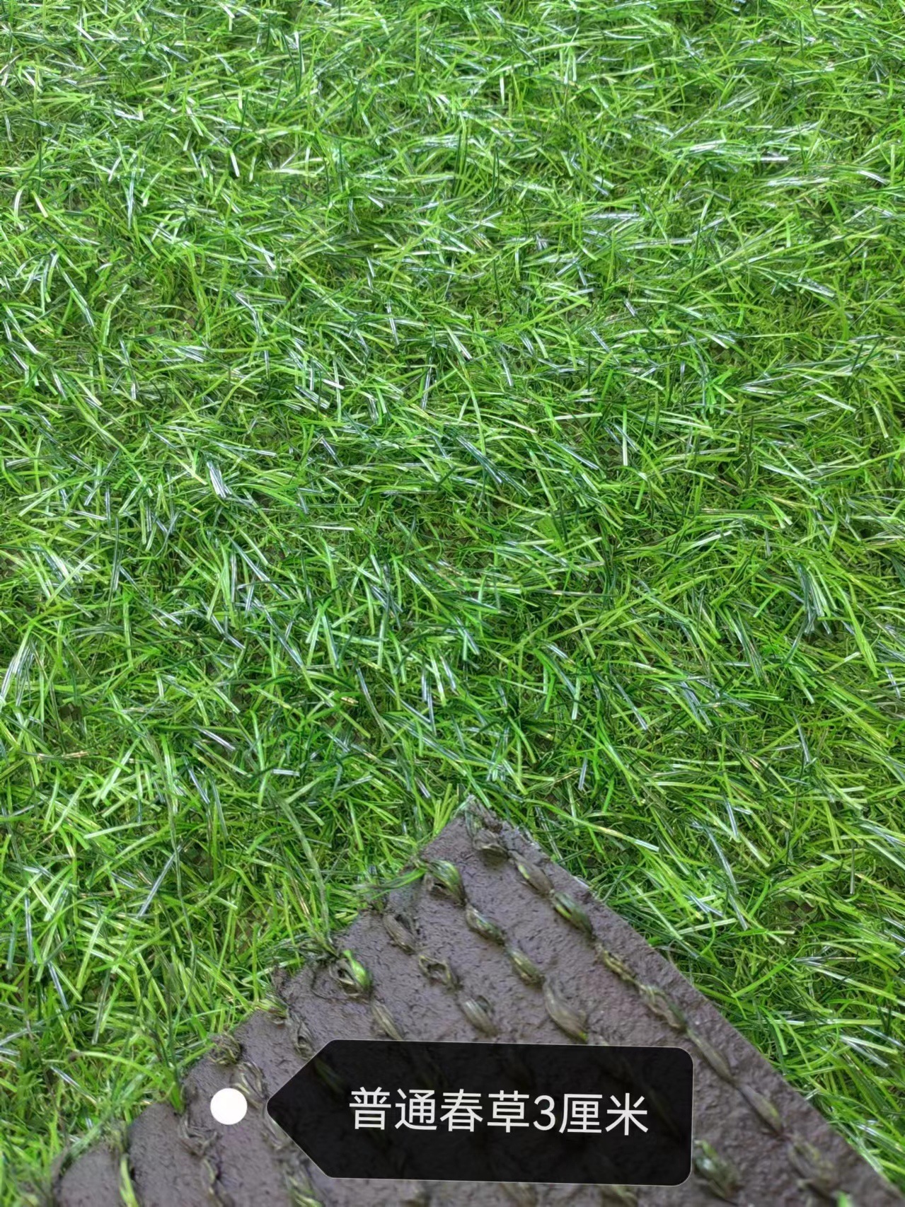 Césped artificial para campos de fútbol al aire libre, césped artificial para cercas de obras de construcción, decoración verde para azoteas de jardines de infancia, césped simulado. image 15