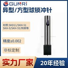 异型冲针五金模具skh51 模具顶针 钨钢冲头冲针加工模具配件 a冲t
