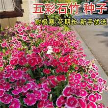 ���ʯ��N�Ӵ���N�������ͺ���������ͥԺ�G���ݻ��N������ʯ��